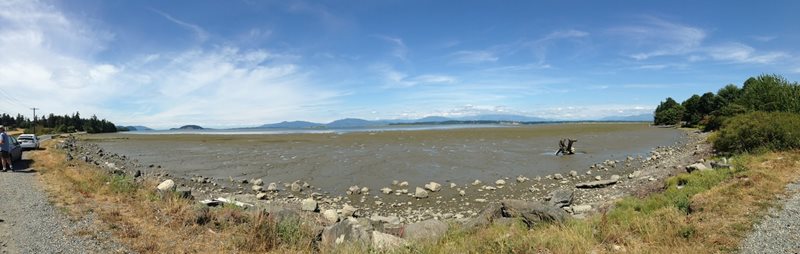 A large body of water takes up the middle and background, pathway or road is in foreground.